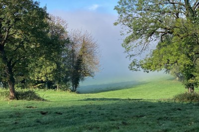 Façade d'une maison beige à volets verts, reflétée dans un bassin entouré de pierres et de végétation.