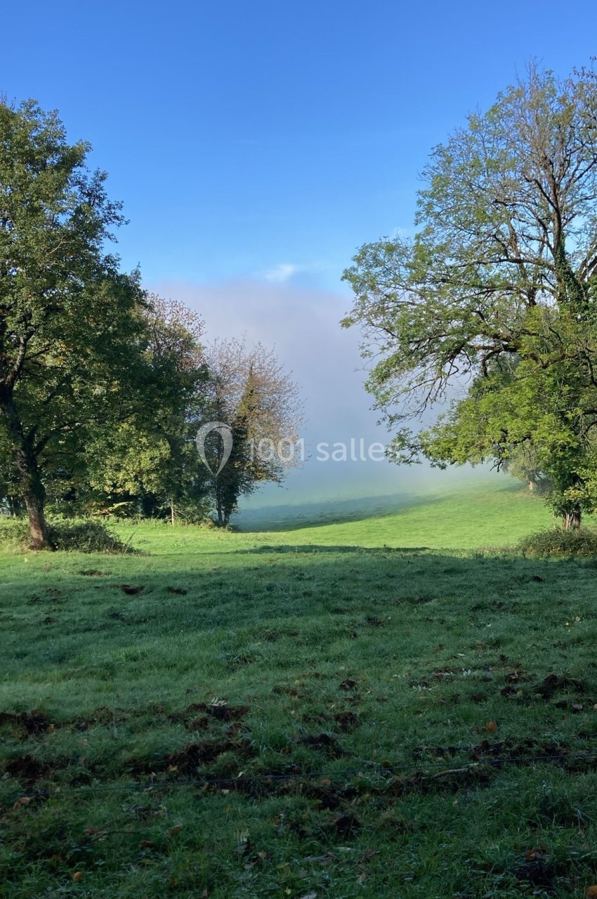 Prairie verdoyante entourée d'arbres sous un ciel bleu, avec une légère brume à l'horizon.
