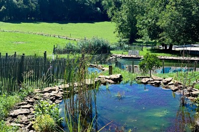 Façade d'une maison beige à volets verts, reflétée dans un bassin entouré de pierres et de végétation.