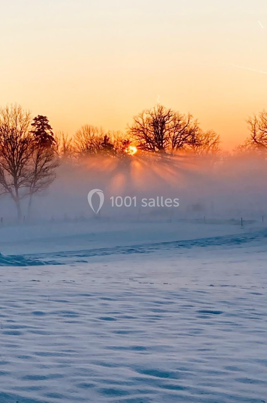 Lever de soleil hivernal illuminant un paysage enneigé avec des arbres partiellement enveloppés de brume.