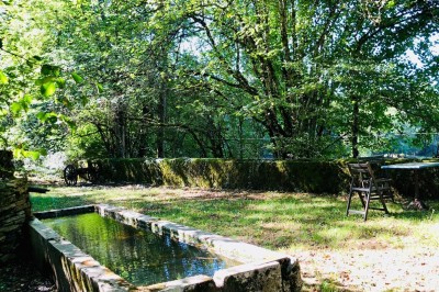 Façade d'une maison beige à volets verts, reflétée dans un bassin entouré de pierres et de végétation.