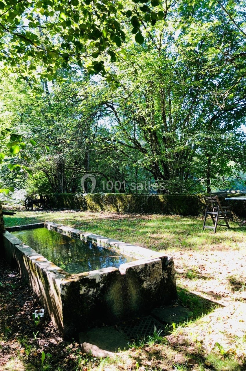 Abreuvoir en pierre rempli d'eau dans un jardin ombragé entouré d'arbres et de végétation.