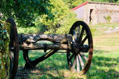 Façade d'une maison beige à volets verts, reflétée dans un bassin entouré de pierres et de végétation.
