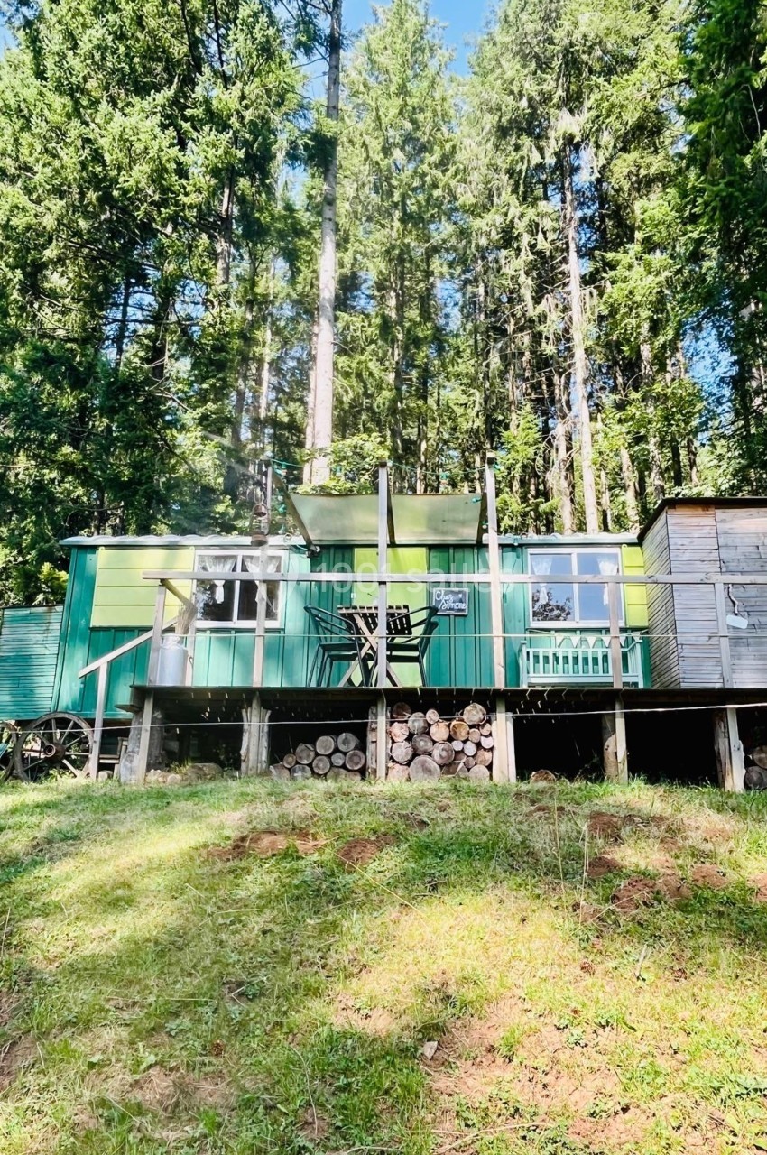 Cabane en bois surélevée avec terrasse, entourée de forêt dense et éclairée par la lumière du jour.
