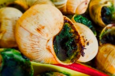 Traiteur Saint-Malo (Ille-et-Vilaine) - Inkandescent #23