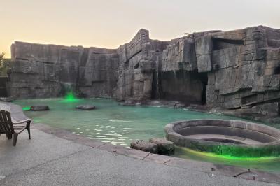 Location salle Chazay-d'Azergues (Rhône) - ô Lagon #8