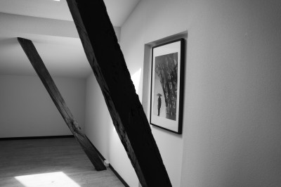 Bâtiment en briques rouges avec une allée bordée de pelouses et des drapeaux visibles au loin sous un ciel dégagé.