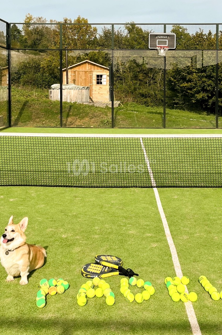 Terrain de padel extérieur en gazon synthétique, avec un chien corgi couché près de balles jaunes et de deux raquettes.