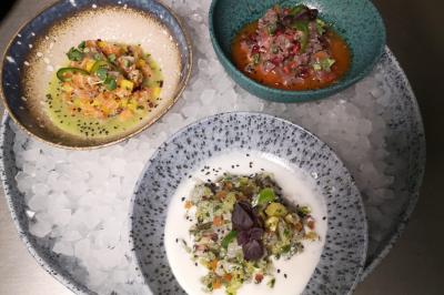 Trois assiettes de tartares colorés présentées sur un lit de glace, garnies d'herbes fraîches et de graines.