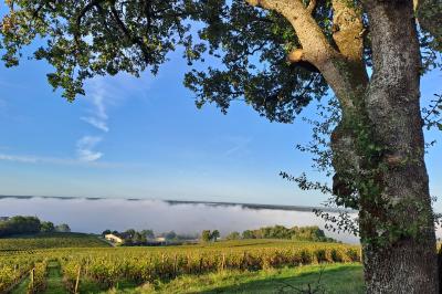 Salle lumineuse avec tables dressées pour un repas, chaises rouges, lampes suspendues et personnes en arrière-plan.