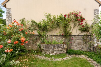 Miniature Location salle Villeneuve-sous-Dammartin (Seine-et-Marne) - La Bullote #30 Grande paella garnie de crevettes, moules, morceaux de poulet et légumes colorés, présentée dans une large poêle.