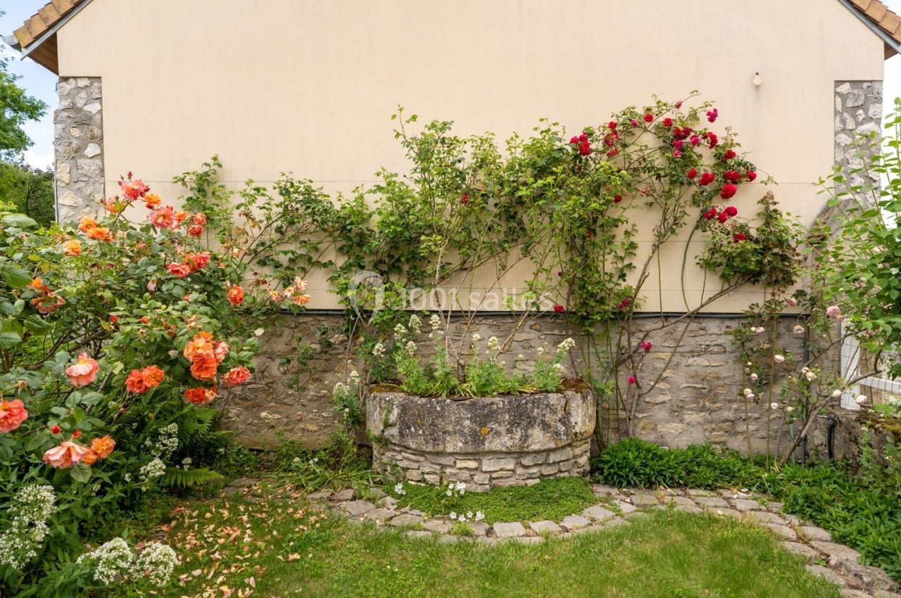 Rosiers grimpants aux fleurs colorées sur un mur en pierre, entourés d'un jardin verdoyant et d'un parterre fleuri.