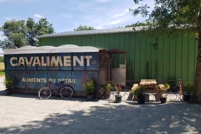 Coin salon avec canapé, fauteuils en cuir, table basse avec jeu d'échecs, bibliothèque et décorations murales.