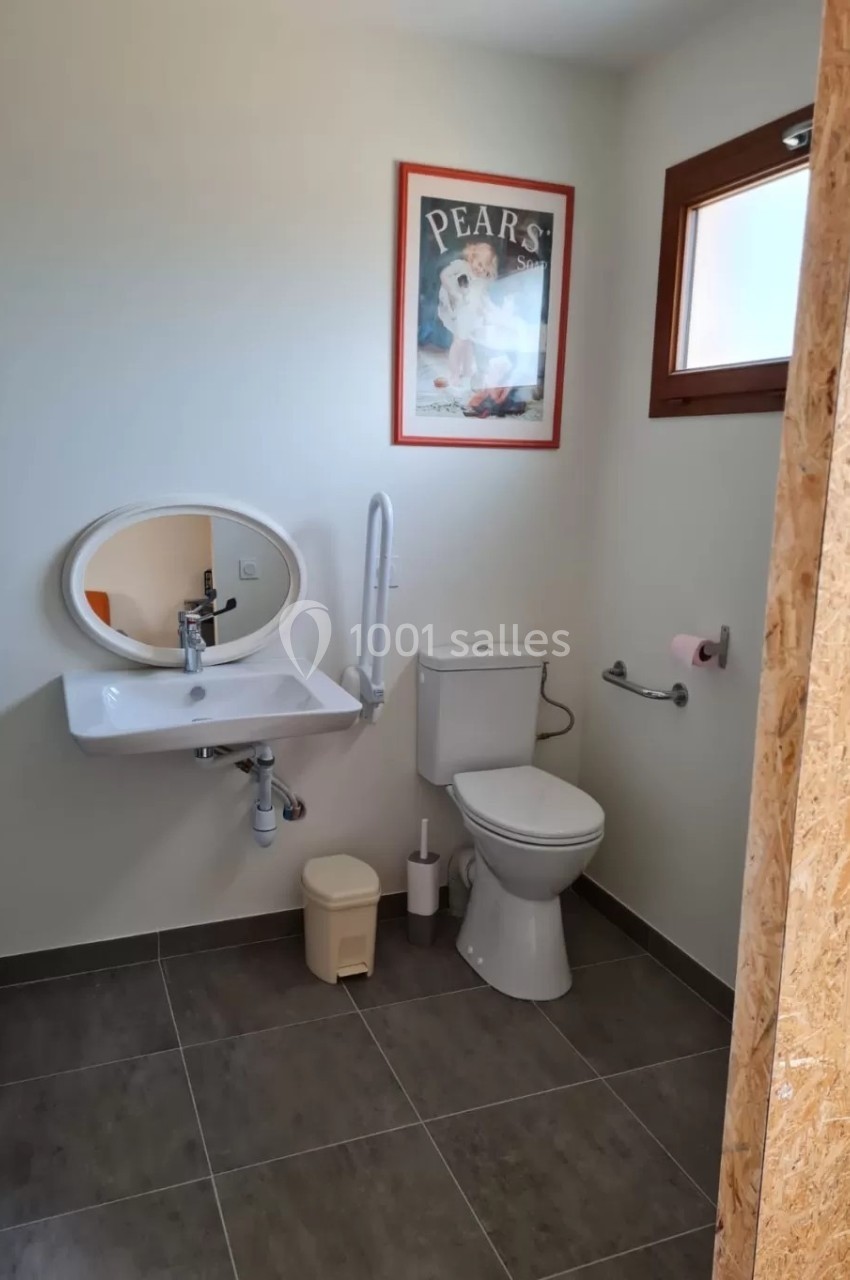 Toilettes accessibles avec lavabo, barre d'appui, miroir ovale, et fenêtre apportant de la lumière naturelle.