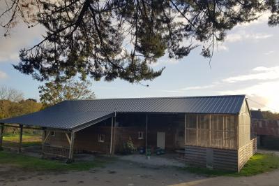 Espace de détente avec canapé, fauteuils, table basse avec échiquier, bibliothèque et décorations murales.