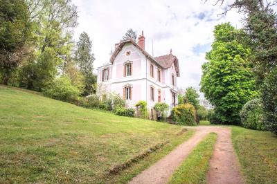 Gros plan de raisins violets avec des reflets lumineux et un flou d'arrière-plan.