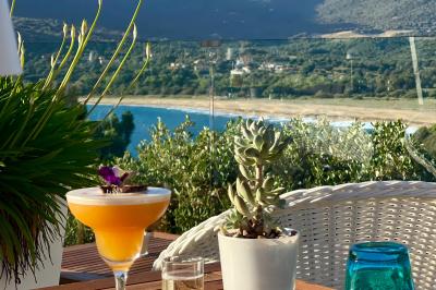 Salon lumineux avec canapé blanc, table basse, bureau près de la fenêtre et vue sur un jardin verdoyant.