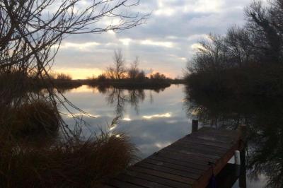 Location salle Arles (Bouches-du-Rhône) - Marais des Capeau  #11