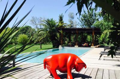 Location salle Arles (Bouches-du-Rhône) - Marais des Capeau  #11