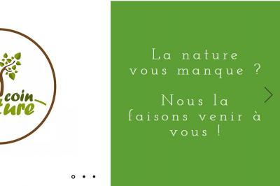 Canette rouge de bière Duff recyclée en décoration dans un terrarium avec mousse et plantes vertes.