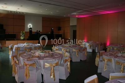 Rivière calme bordée d'arbres hauts et verdoyants, reflétant la lumière du soleil dans un environnement paisible.