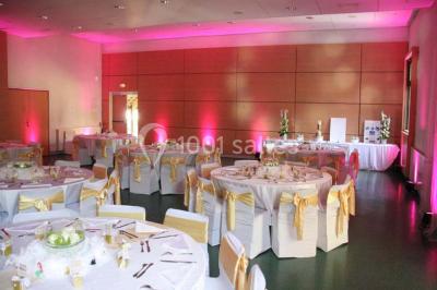 Rivière calme bordée d'arbres hauts et verdoyants, reflétant la lumière du soleil dans un environnement paisible.