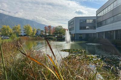 Étang entouré de végétation avec des montagnes en arrière-plan sous un ciel bleu parsemé de nuages.