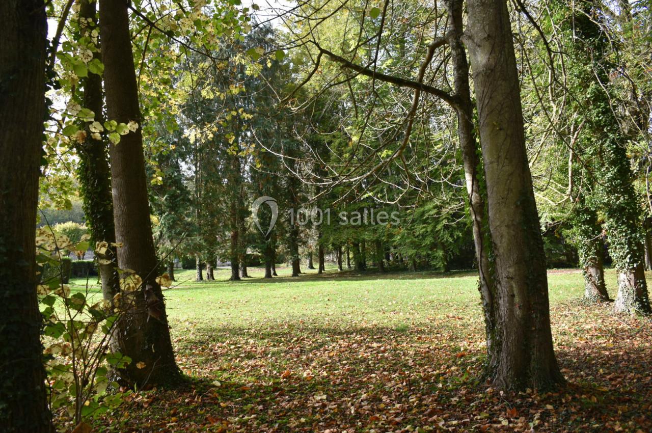 Pelouse ensoleillée entourée d'arbres avec des feuilles d'automne au sol dans un parc verdoyant.