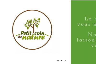 Terrarium en verre contenant une plante verte à feuilles nervurées roses, avec des couches de sable coloré et de gravier.