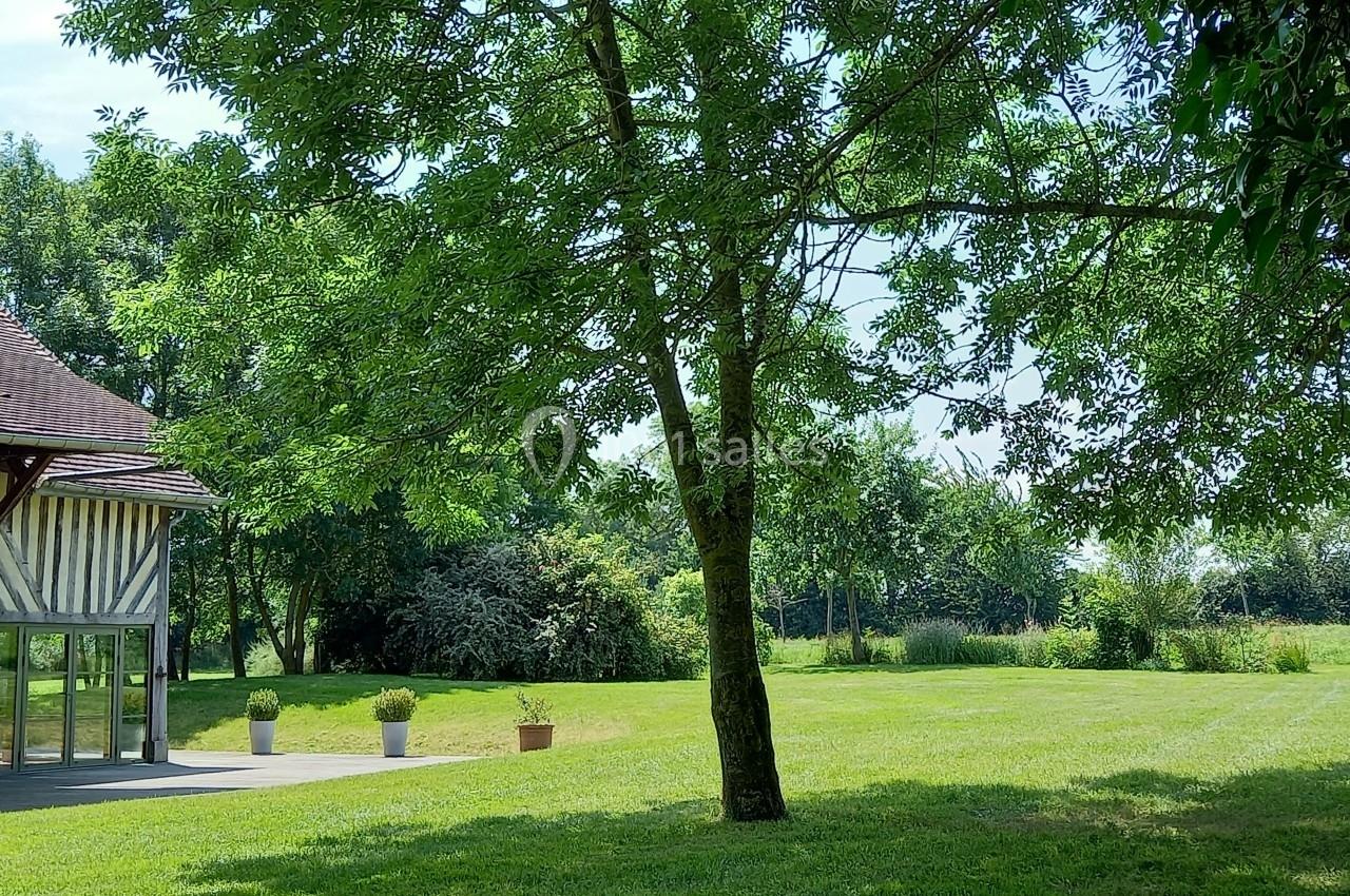 Arbre au centre d'un jardin verdoyant avec pelouse, terrasse et maison en bois visible à gauche.
