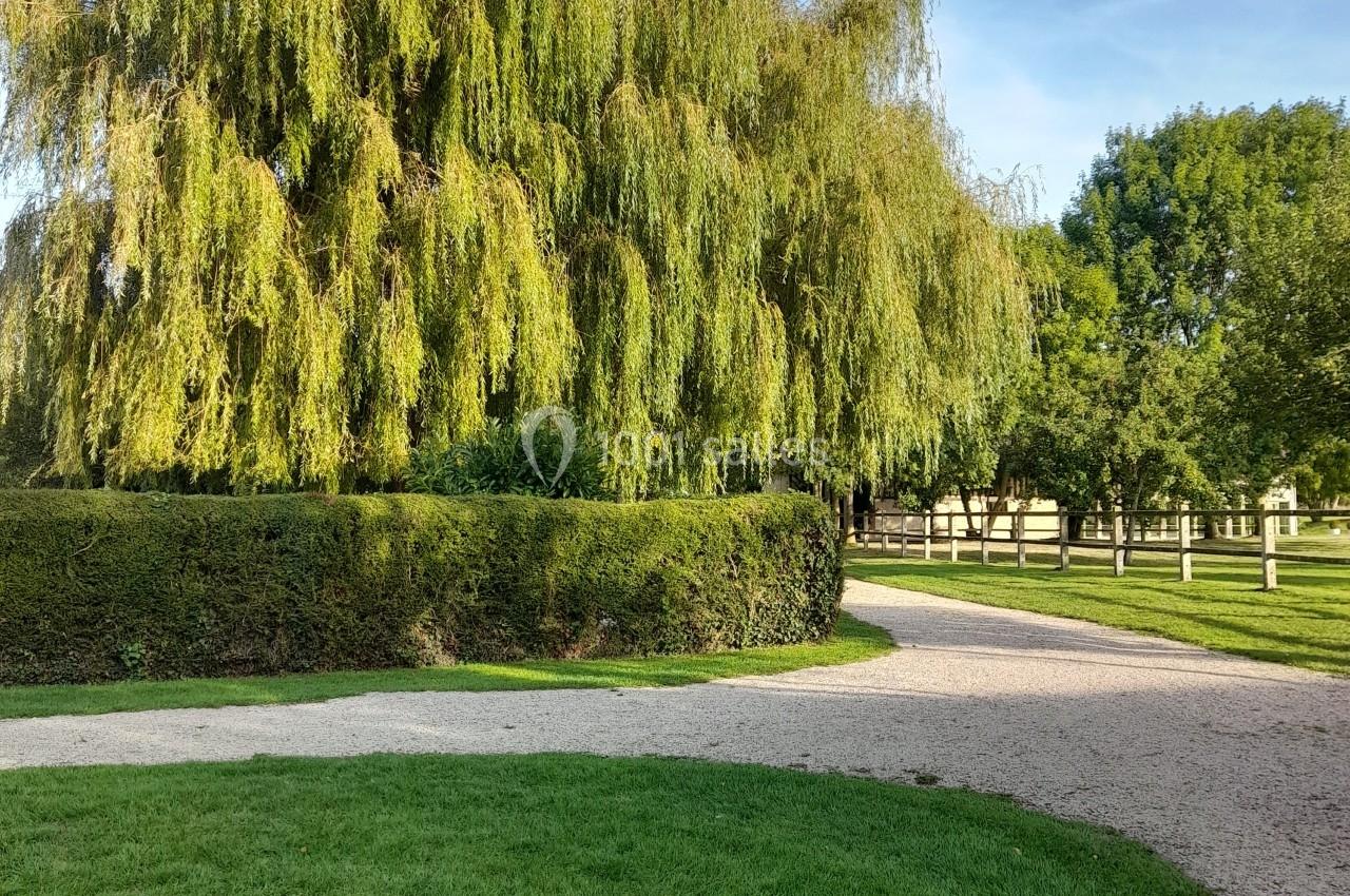 Allée en gravier bordée de pelouse, haie taillée et grand saule pleureur dans un parc verdoyant.