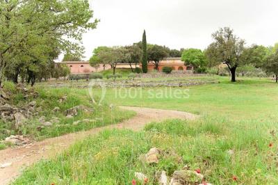 Domaine De L'amaurigue