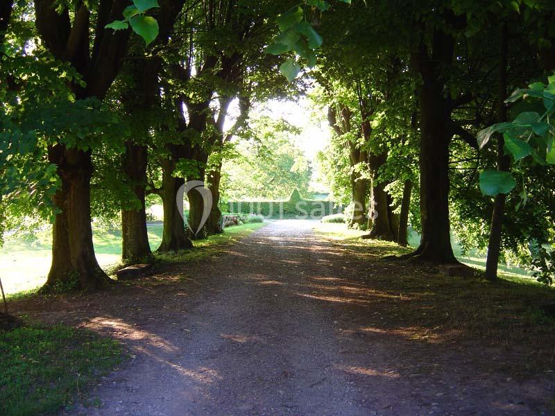 Location salle Saint-André-de-Corcy (Ain) - Château De Montribloud #5