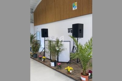 Plantes en pot et fleurs disposées devant une estrade équipée de haut-parleurs dans une salle au mur en bois.