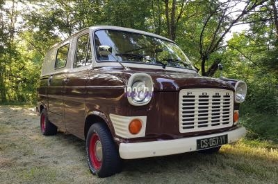 Fourgon vintage Ford marron et blanc garé sur une pelouse, entouré d'arbres en arrière-plan.