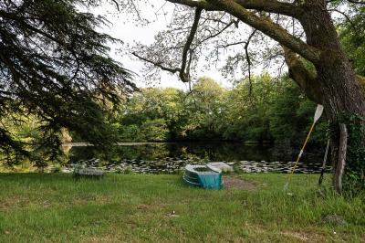 Pelouse verdoyante entourée de grands arbres sous un ciel partiellement nuageux.