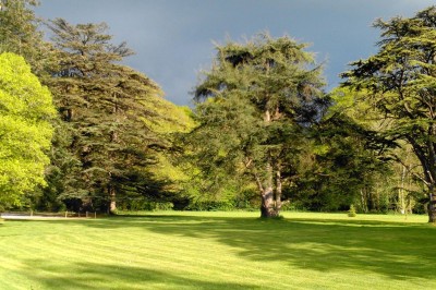 Pelouse verdoyante entourée de grands arbres sous un ciel partiellement nuageux.