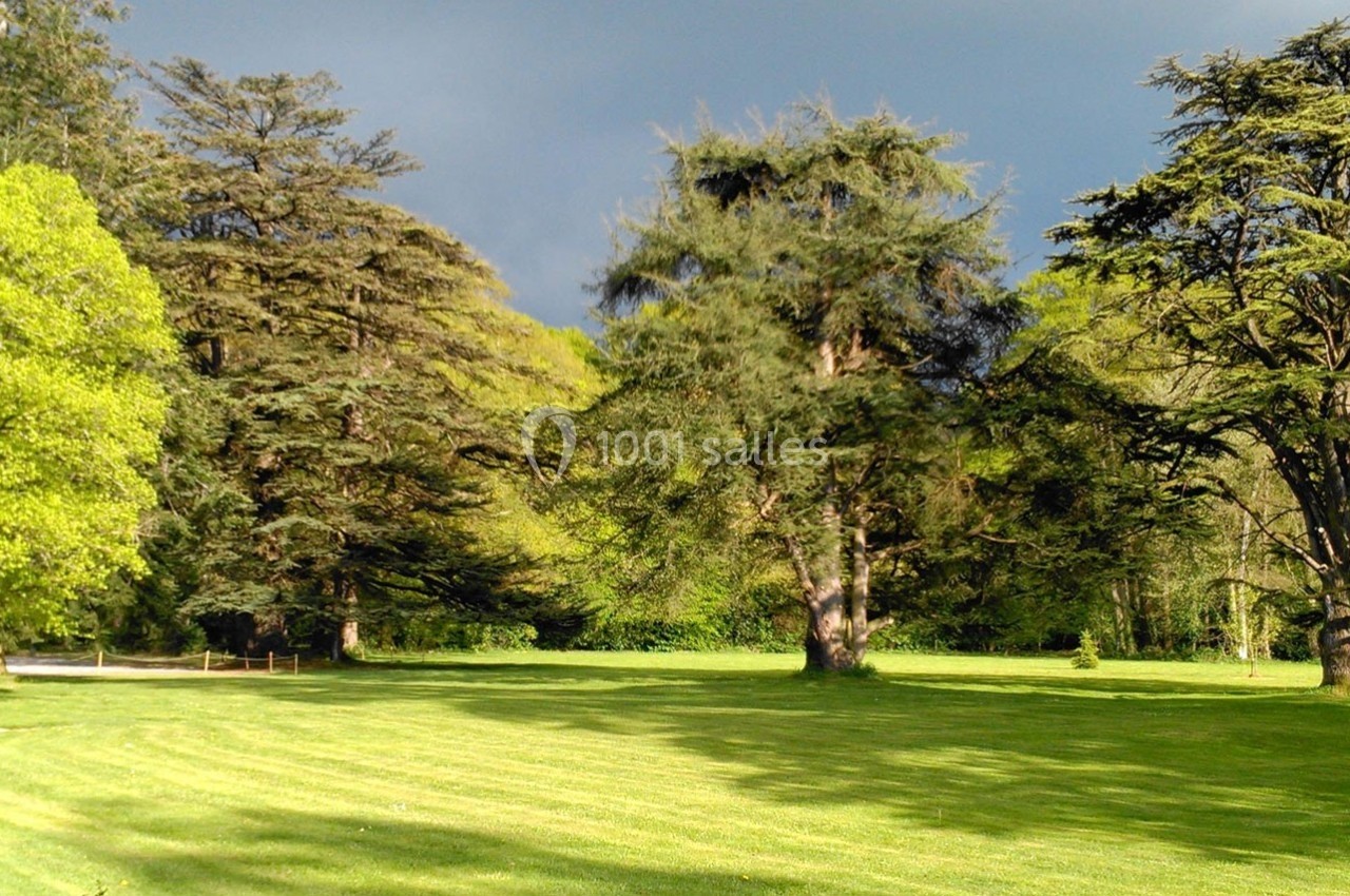 Pelouse verdoyante entourée de grands arbres sous un ciel partiellement nuageux.