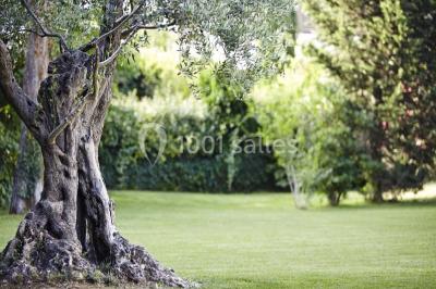 Location salle Montpellier (Hérault) - Hôtel Novotel Montpellier Sud #22