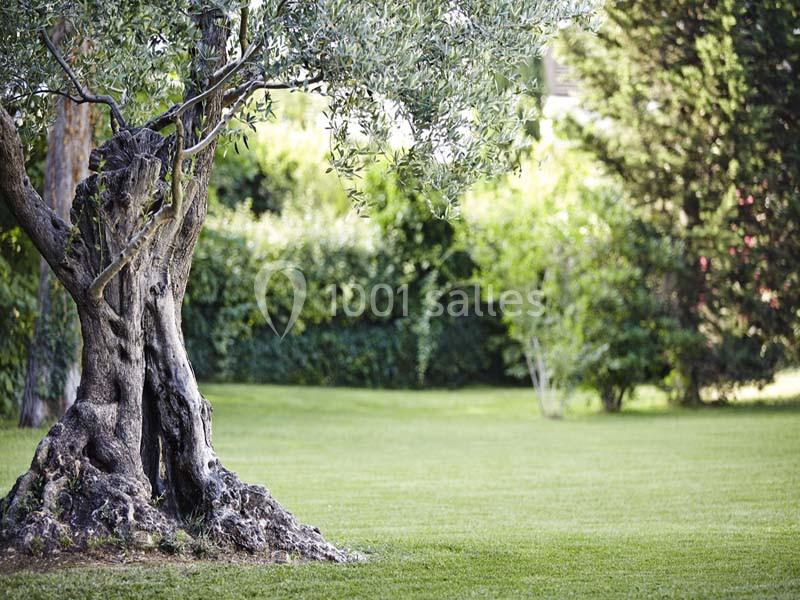 Location salle Montpellier (Hérault) - Hôtel Novotel Montpellier Sud #6