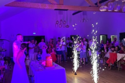 Un couple coupe un gâteau de mariage éclairé par des fontaines lumineuses, sous le regard des invités dans une salle festive.