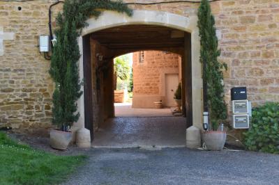 Allée bordée de pelouse et d'arbres taillés, sous un ciel dégagé dans un jardin verdoyant.