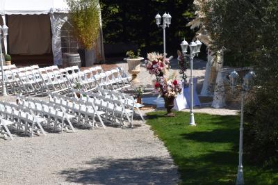 Allée bordée de pelouse et d'arbres taillés, sous un ciel dégagé dans un jardin verdoyant.