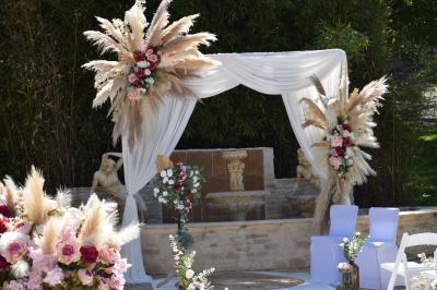 Allée bordée de pelouse et d'arbres taillés, sous un ciel dégagé dans un jardin verdoyant.