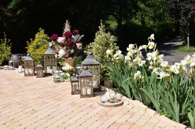 Allée bordée de pelouse et d'arbres taillés, sous un ciel dégagé dans un jardin verdoyant.