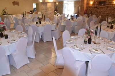 Allée bordée de pelouse et d'arbres taillés, sous un ciel dégagé dans un jardin verdoyant.