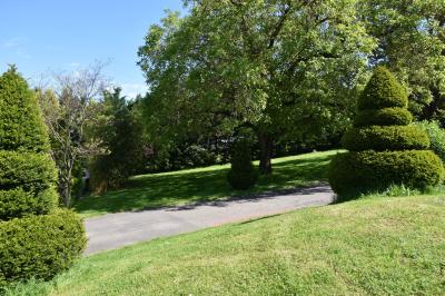 Allée bordée de pelouse et d'arbres taillés, sous un ciel dégagé dans un jardin verdoyant.