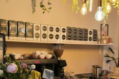 Comptoir de café avec machine à espresso, tasses empilées, étagères de produits et luminaires entourés de plantes suspendues.