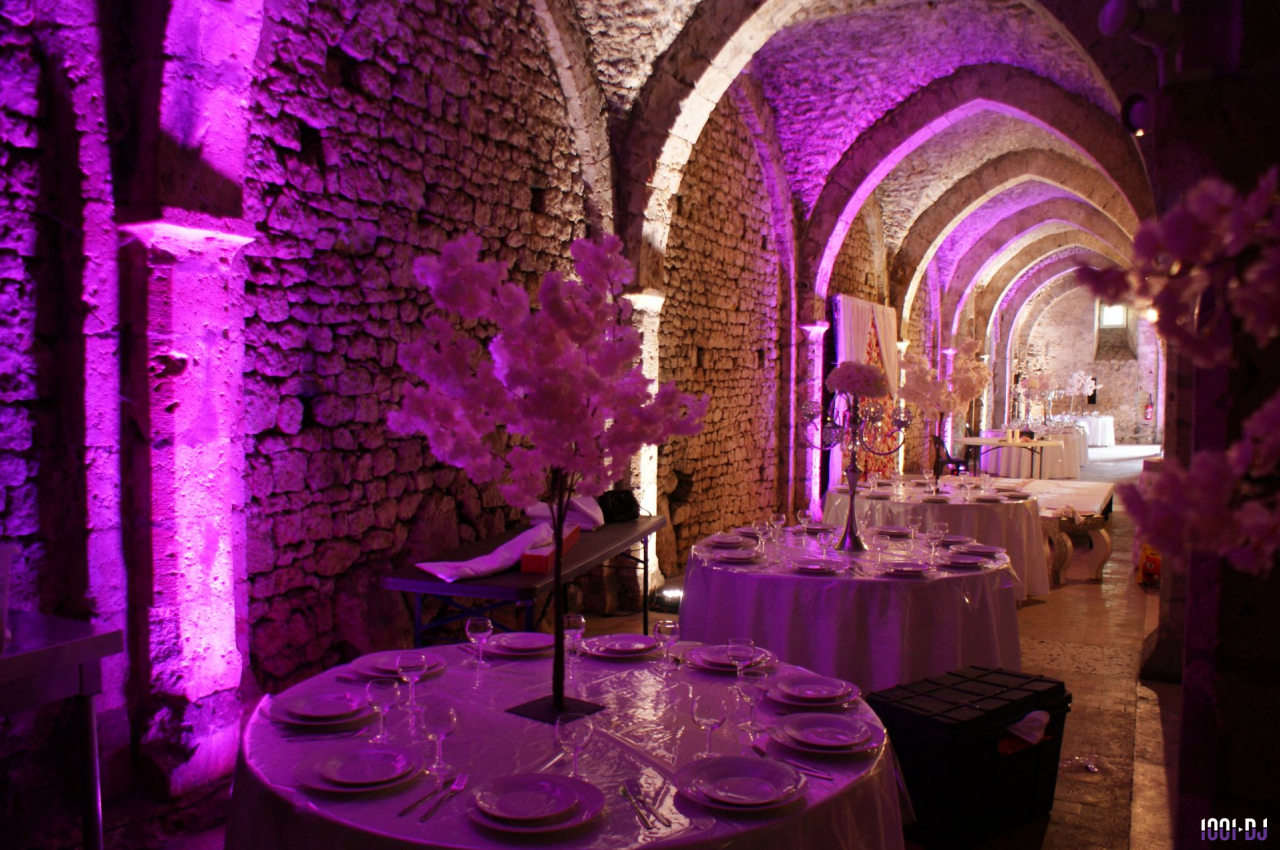 DJ Émerainville (Seine-et-Marne) - Night Club Mobile #2