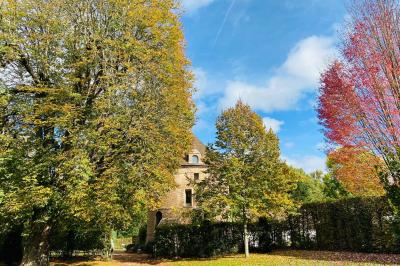 Décoration festive sous une tente avec arche lumineuse, sapins de Noël, guirlandes et sol en bois.